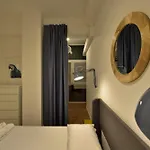 Tanzi 12 - Modern House *